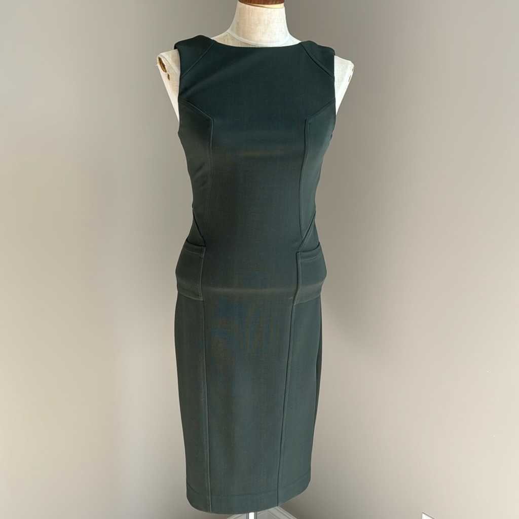 Bebe Sleveless Dress